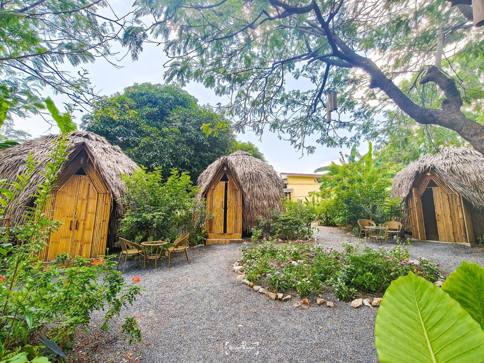 Samui Circus & - Dome 1 *
