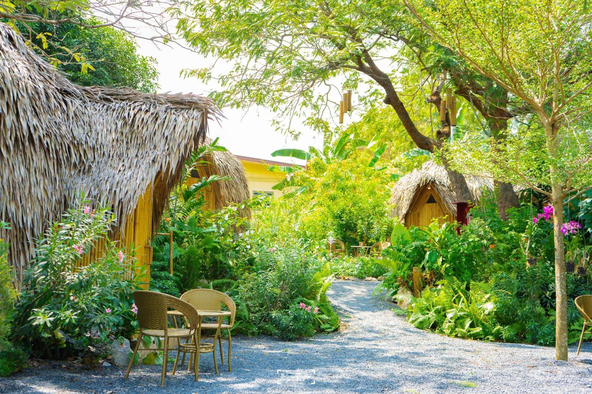 Samui Circus & - Dome 1 * Amphoe Koksamui
