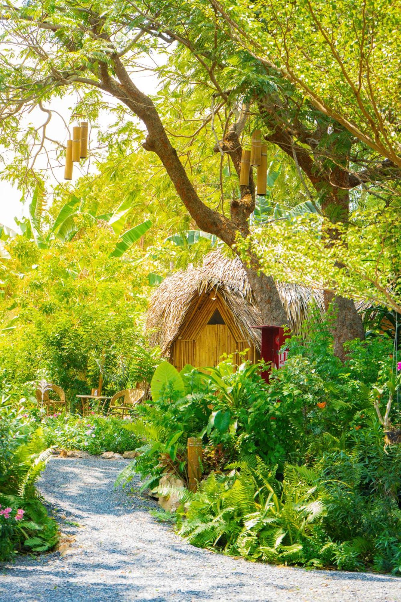 Samui Circus & - Dome 1 *